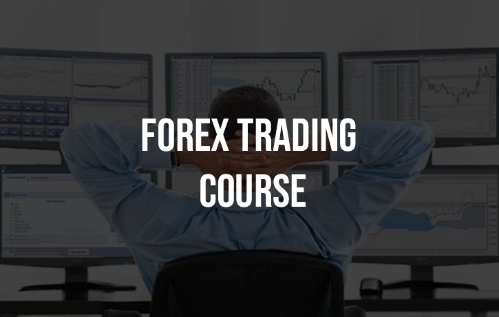 Online forex training course forex brokerage platforms